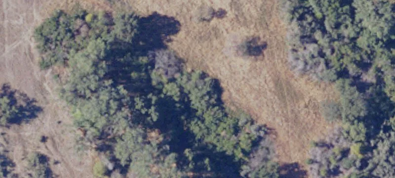 Plumas Lake, CA 95961