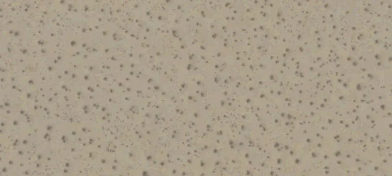 California City, CA 93505
