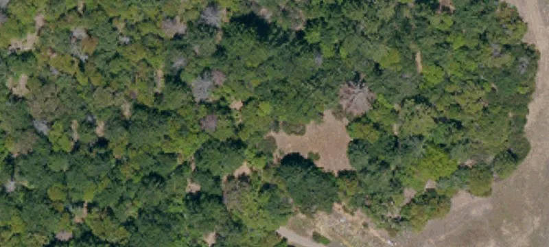 Willits, CA 95490