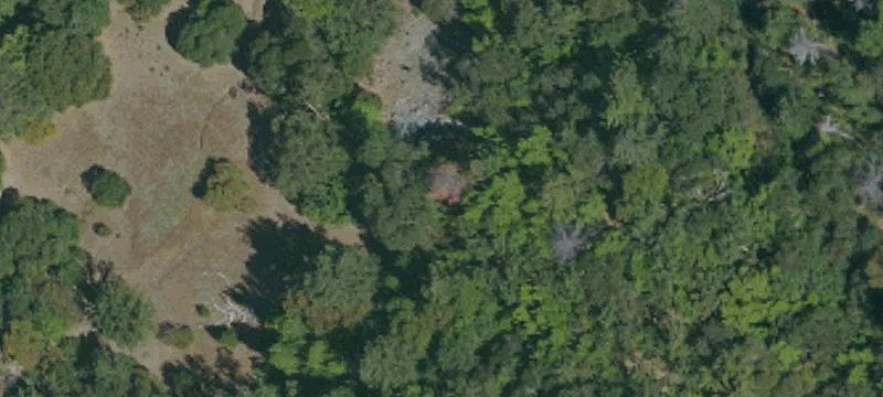 Laytonville, CA 95454