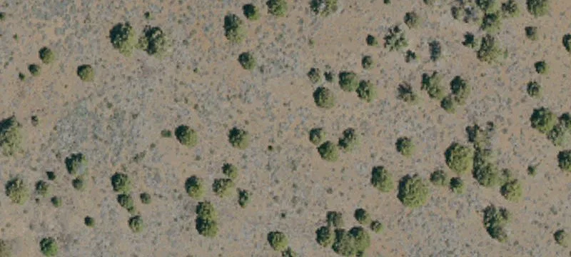 Ravendale, CA 96123