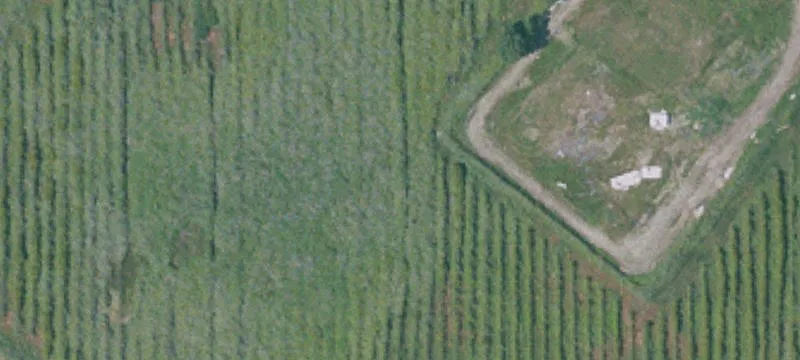 Myers Flat, CA 95554