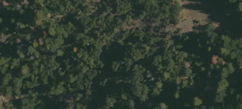 Montgomery Creek, CA 96065