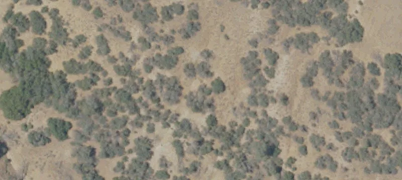 Tehachapi, CA 93501