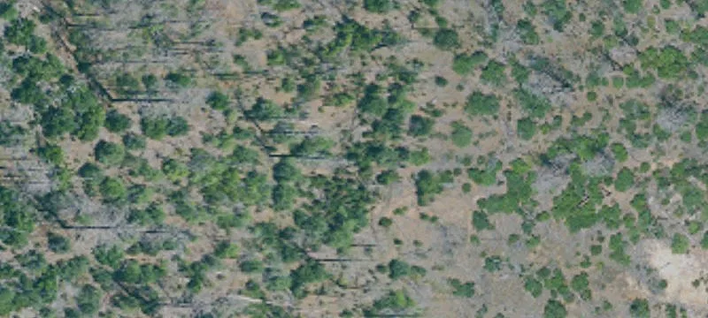Middletown, CA 95461