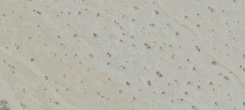 Thousand Palms, CA 92276
