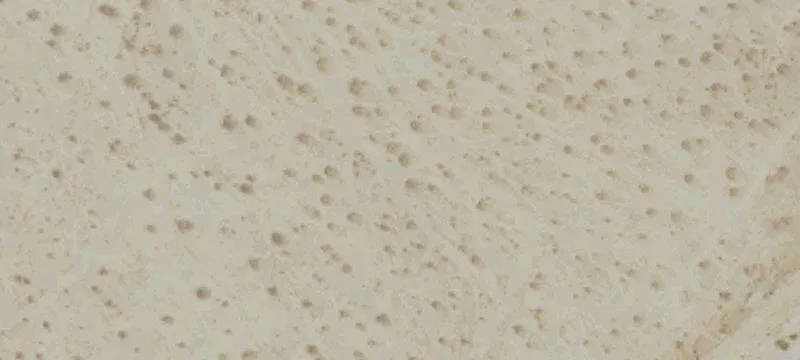 Mojave, CA 93501