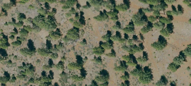 Susanville, CA 96130