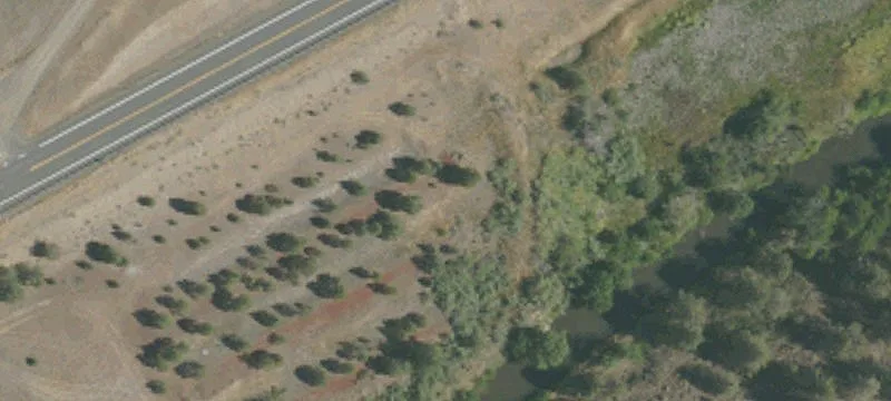Adin, CA 96006