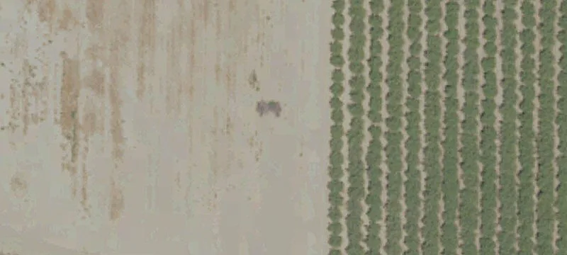 Los Banos, CA 93635