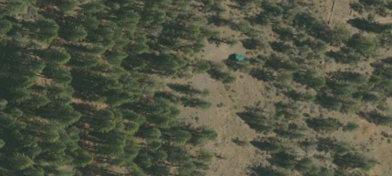 Adin, CA 96006
