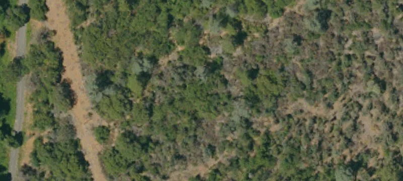 Shasta Lake, CA 96019