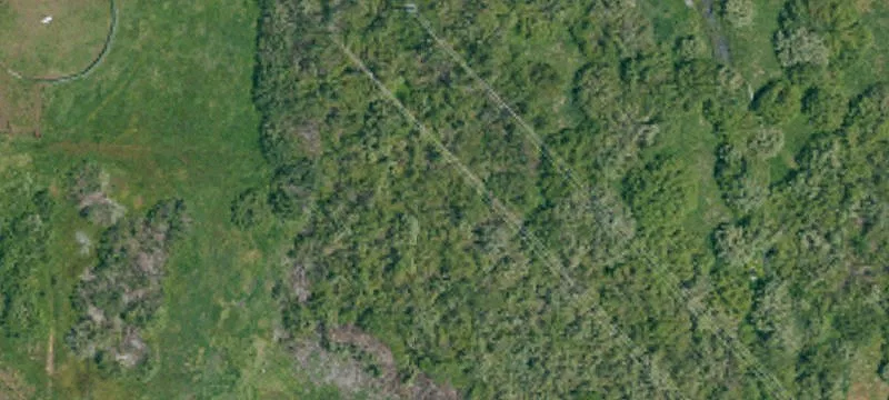 72 Delwood St