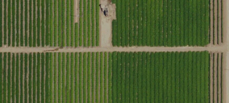 Bakersfield, CA 93307