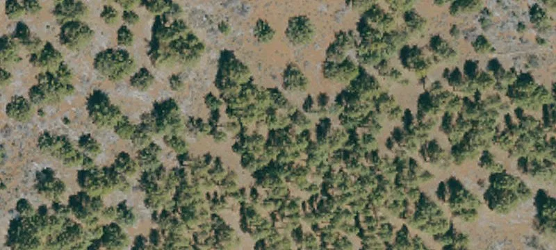 Susanville, CA 96130