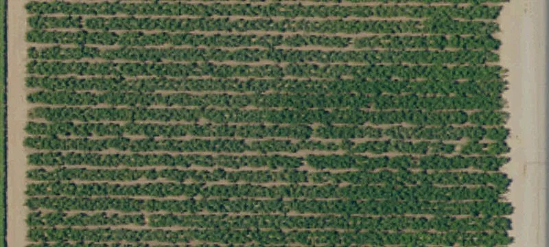 Reedley, CA 93654