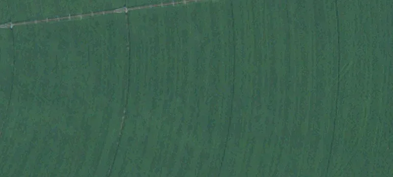 Herlong, CA 96113