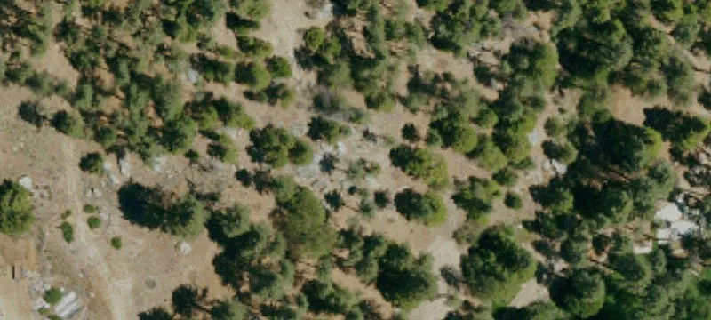 Idyllwild, CA 92549