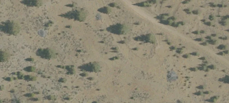 Bieber, CA 96009