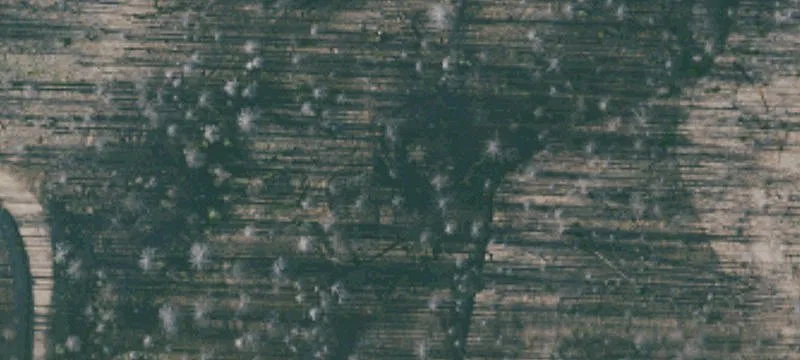 Elk Creek, CA 95939