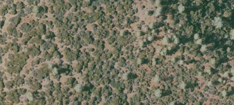 Elk Creek, CA 95939
