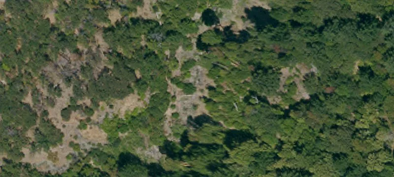 Leggett, CA 95585