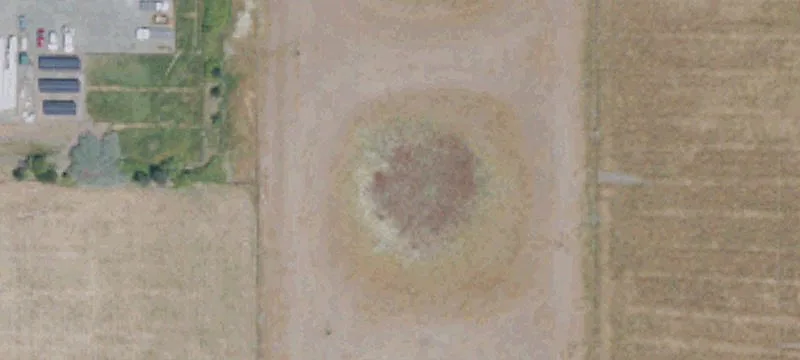 Dixon, CA 95620