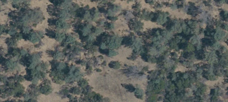 Berry Creek, CA 95916