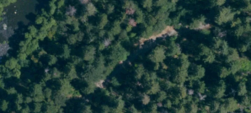 35780 Elk Mtn Rd
