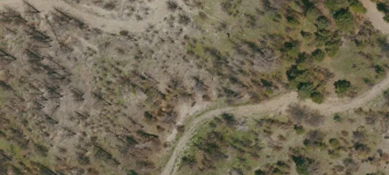 Elk Creek, CA 95939