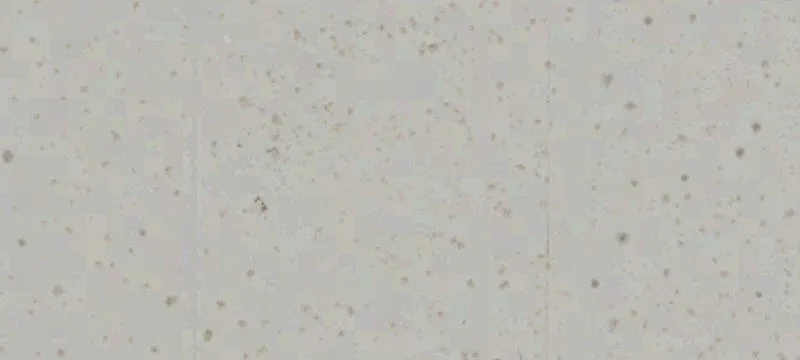 Thousand Palms, CA 92276