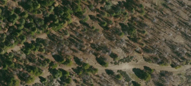 Elk Creek, CA 95939