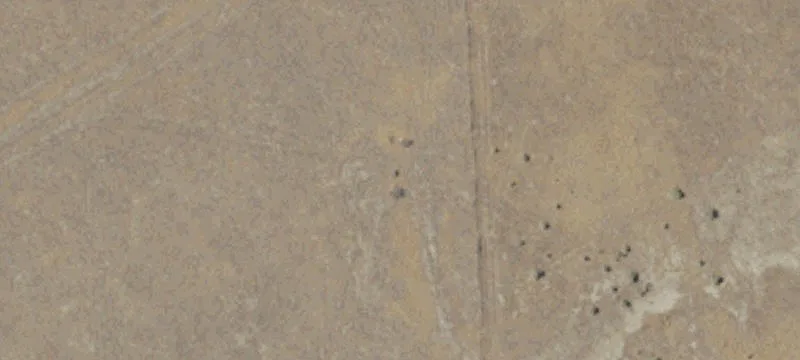 Kettleman City, CA 93239