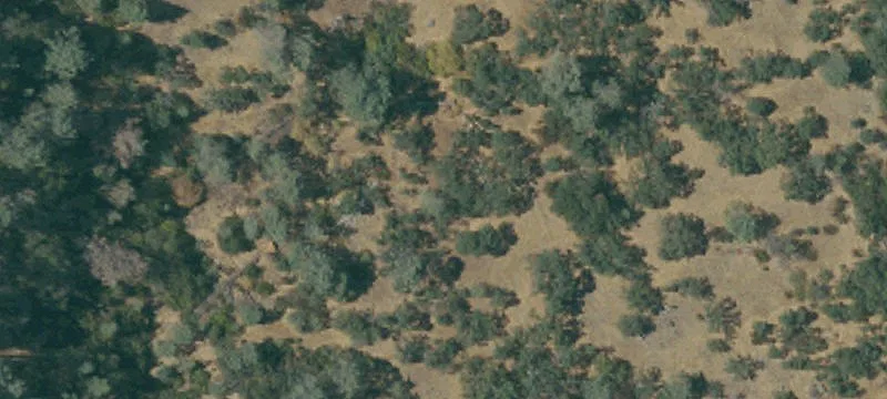 Copperopolis, CA 95228
