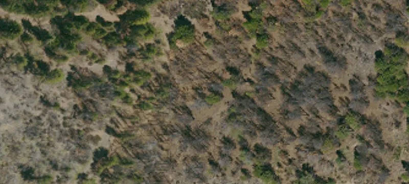 Elk Creek, CA 95939