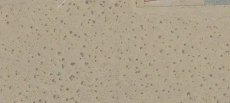 California City, CA 93505