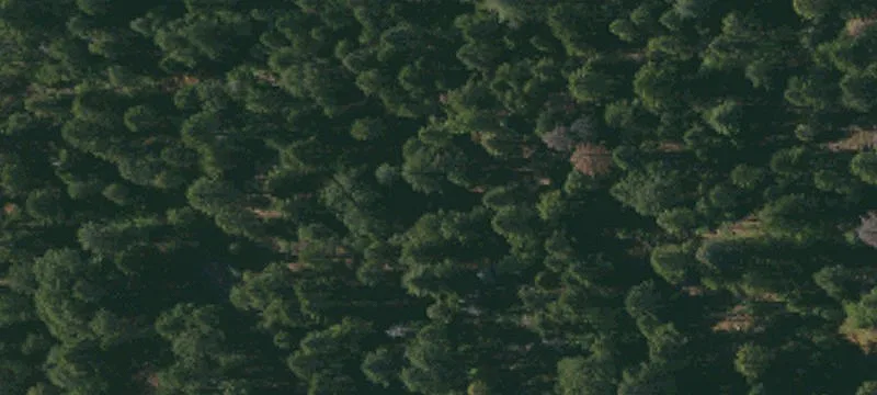 Redding, CA 96003