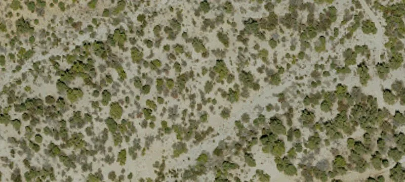 Cerro Gordo
