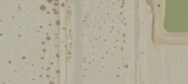 Desert Center, CA 92239
