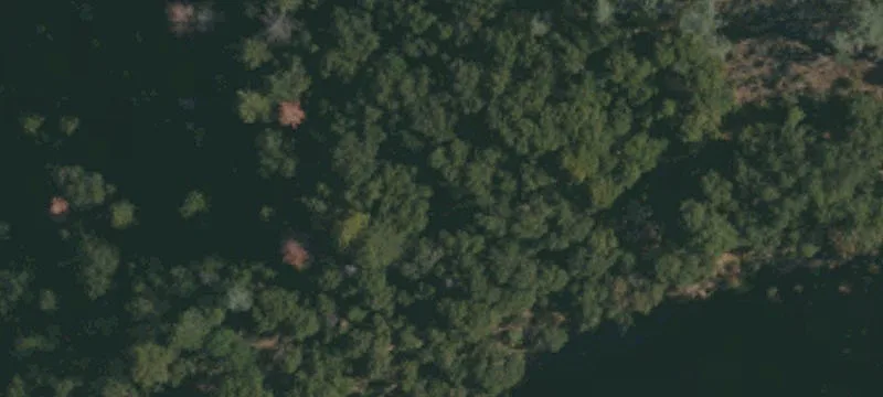 Montgomery Creek, CA 96065