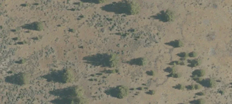 Bieber, CA 96009