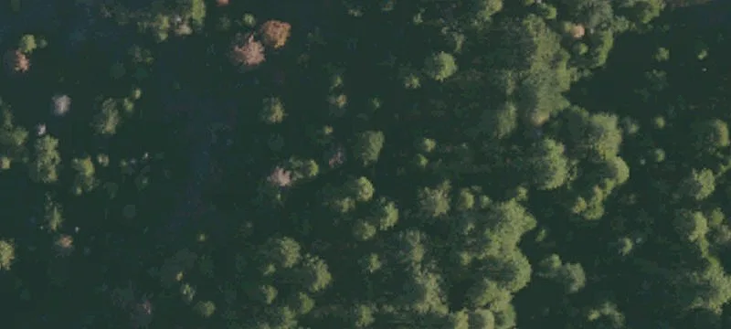 Alleghany, CA 95910