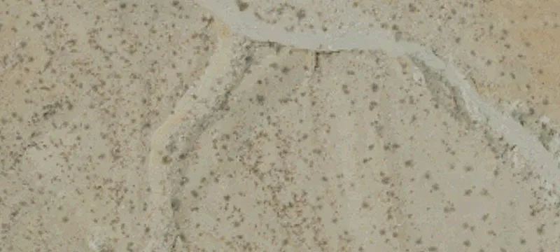 Desert Center, CA 92239