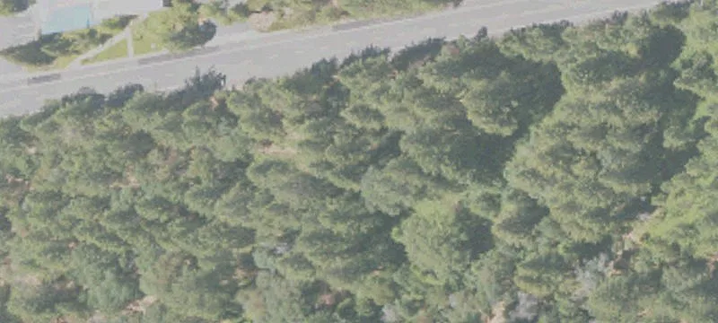Grass Valley, CA 95945