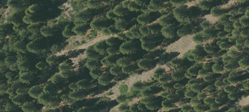 Burney, CA 96013