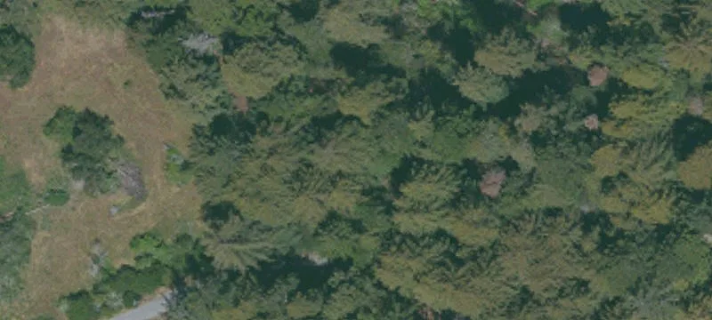 La Honda, CA 94020