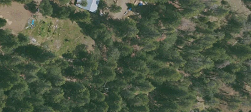 Cobb, CA 95426