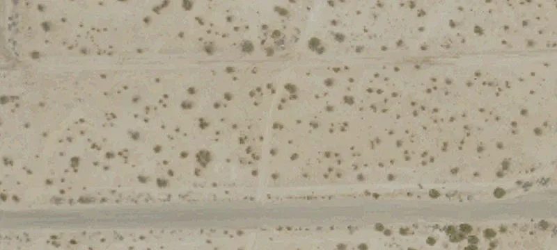 California City, CA 93505
