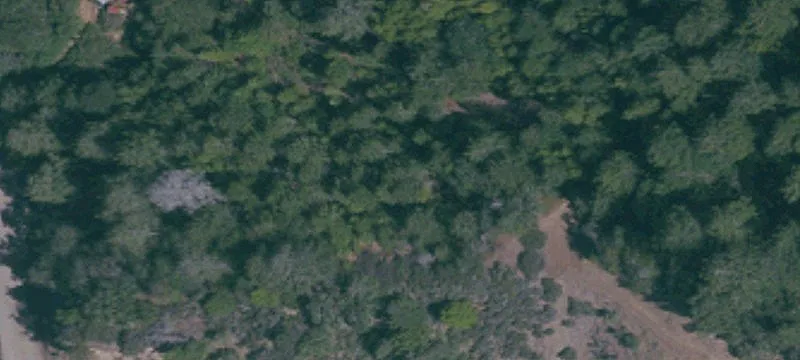 Cazadero, CA 95421