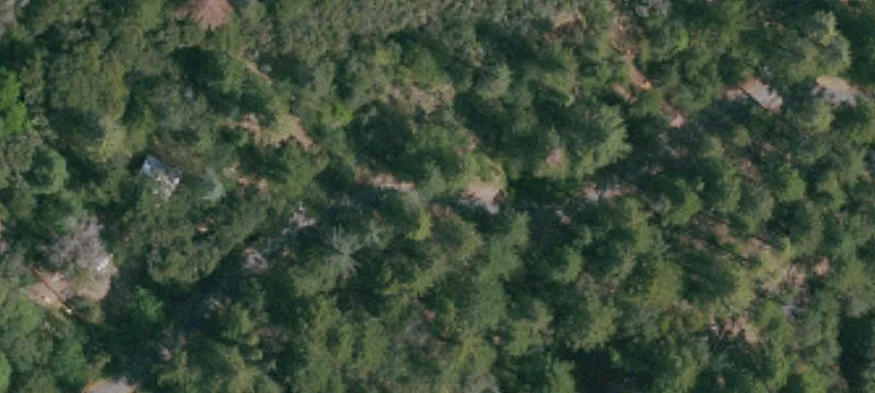 Cobb, CA 95426